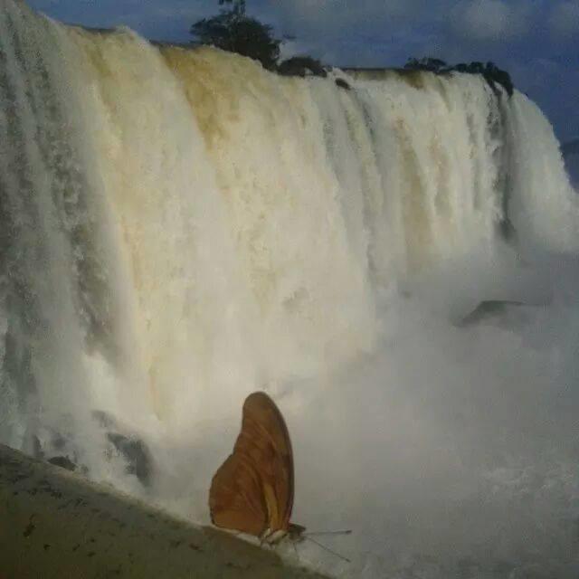 Aconchego Lar Cama E Cafe Bed & Breakfast Foz do Iguacu Luaran gambar